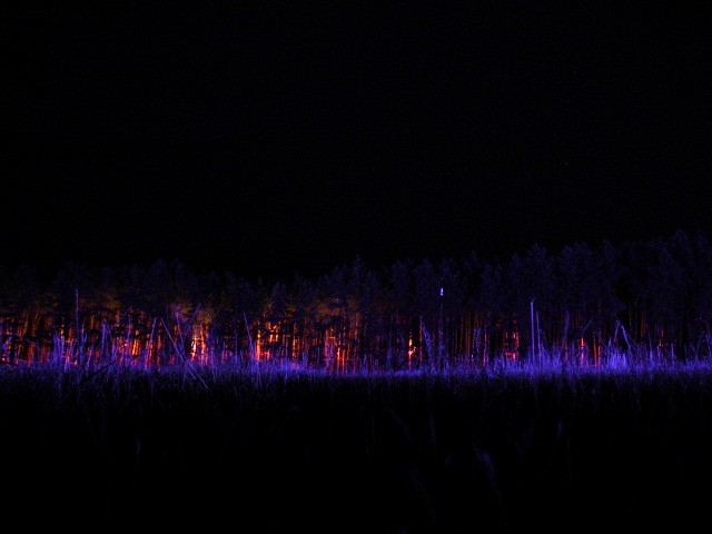 dscn0820