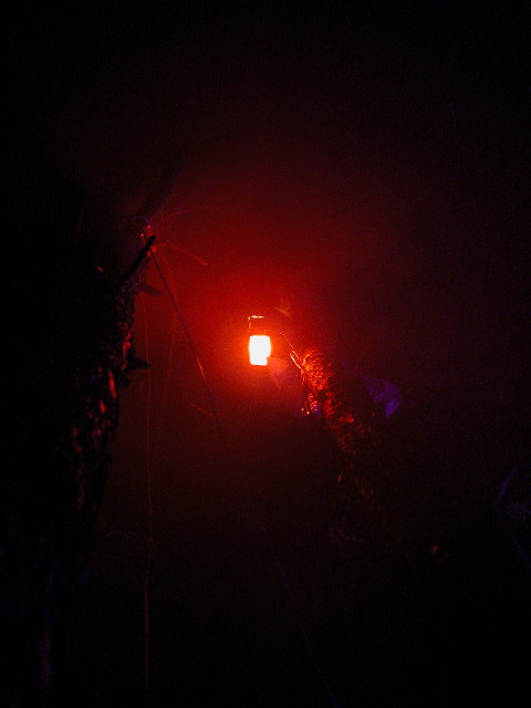 dscn0863