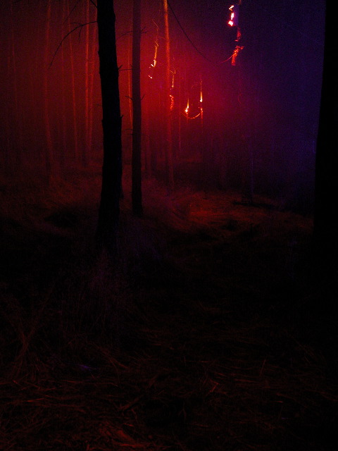 dscn0854