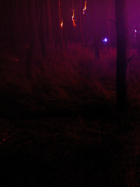 dscn0853