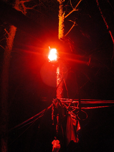 dscn0801