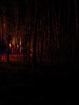 dscn0866