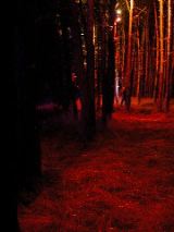 dscn0835