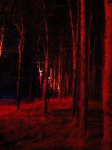 dscn0799