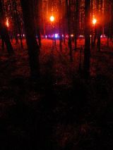 dscn0797