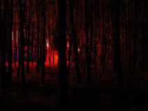 dscn0792